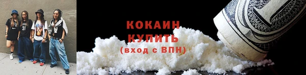 прущие грибы Абинск