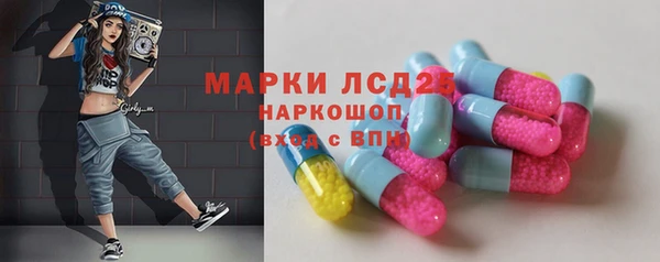 прущие грибы Абинск