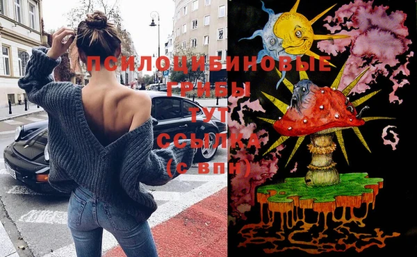 гидра Абдулино
