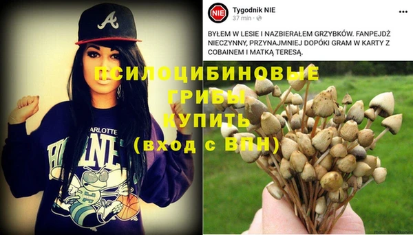 гидра Абдулино