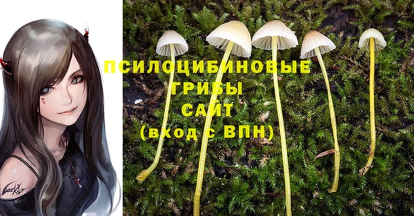 экстази Абаза
