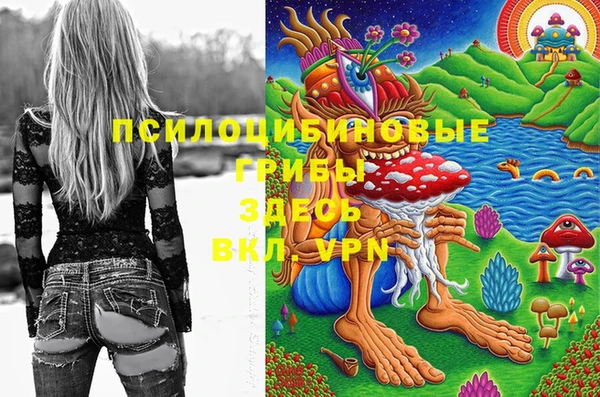 экстази Абаза